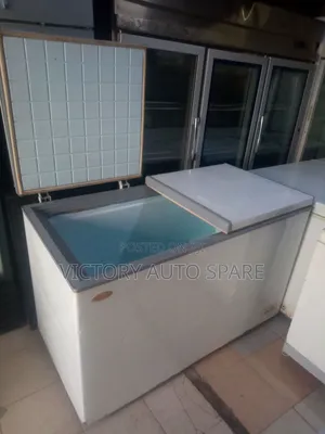 2 Door Deep Freezer