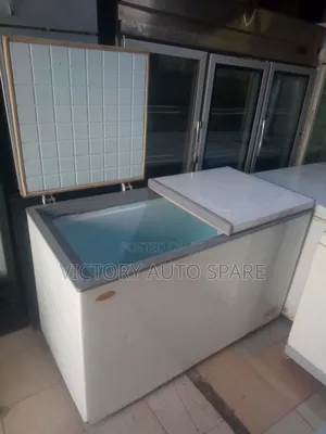 2 Door Deep Freezer