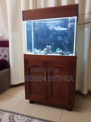 Aquarium Freshwater - main view