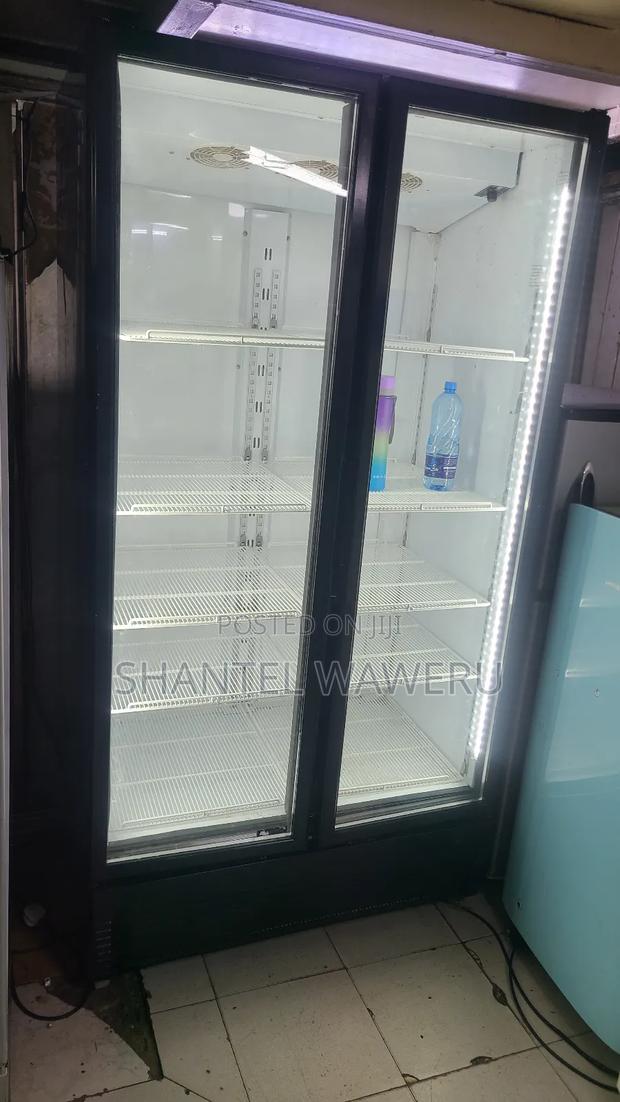 2 Door Mirror Refrigerator/ Chiller 1200litres - main view
