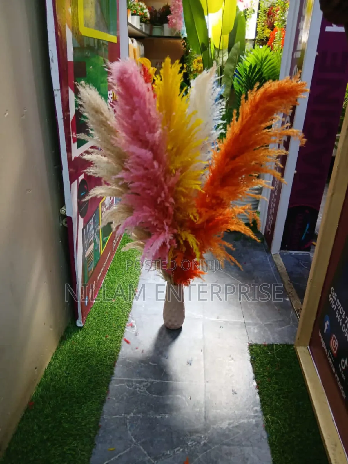 Big Fluffy Pampas Grass- Colored