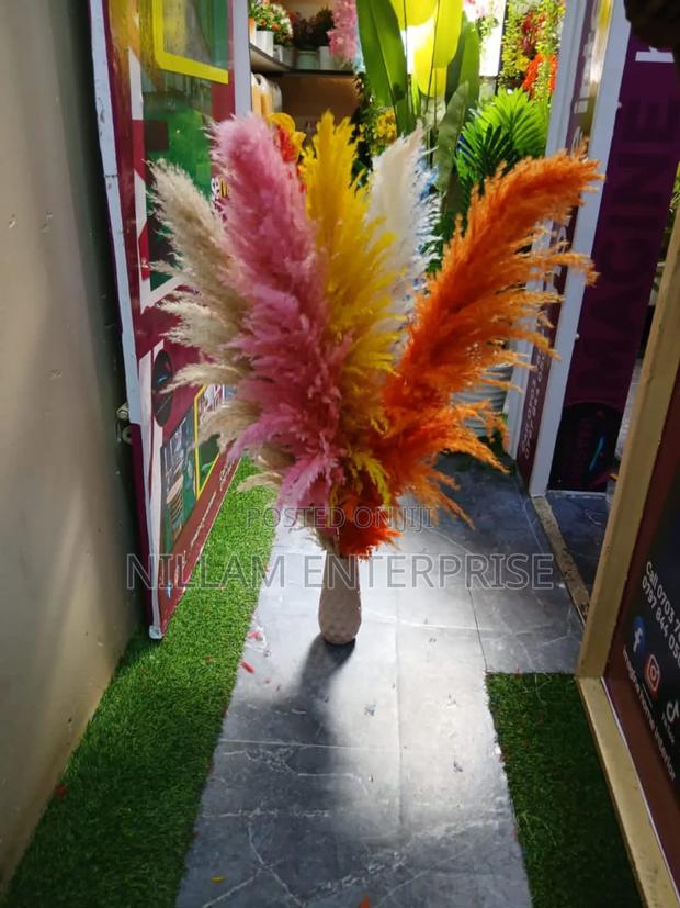 Big Fluffy Pampas Grass- Colored - main view