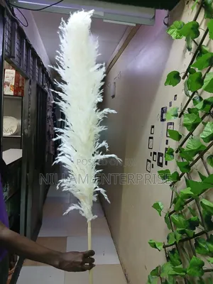 Big Fluffy Pampas Grass- Colored