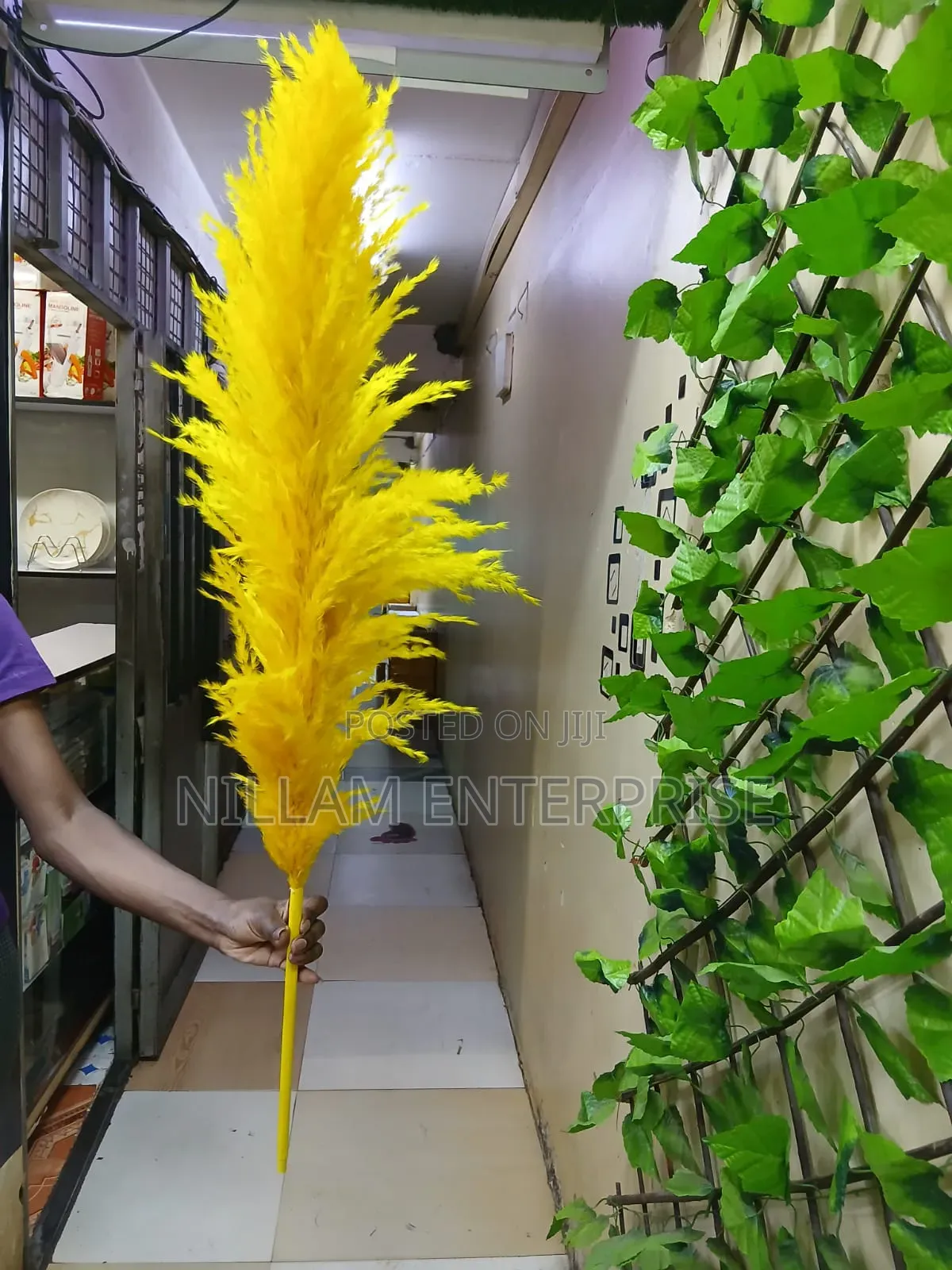 Big Fluffy Pampas Grass- Colored