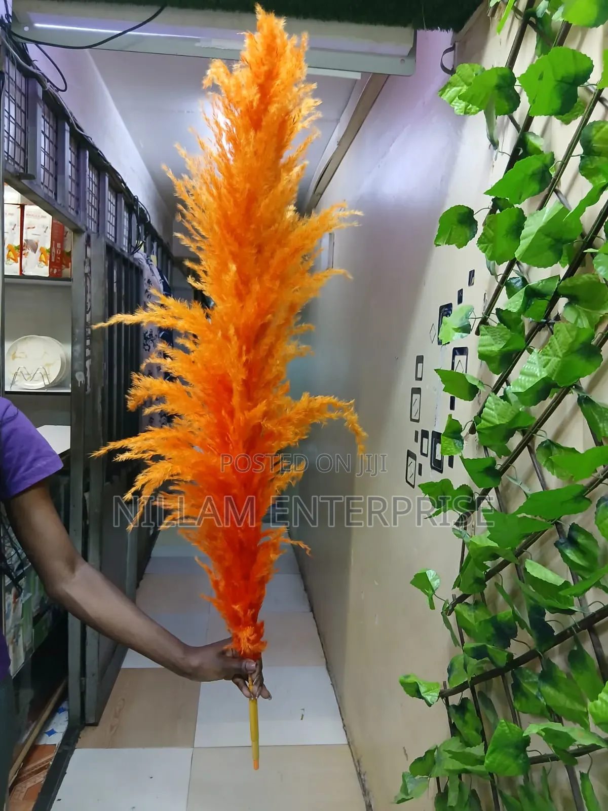 Big Fluffy Pampas Grass- Colored