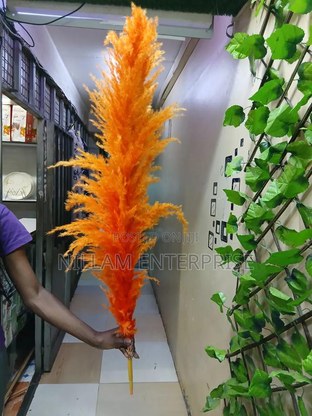 Big Fluffy Pampas Grass- Colored - thumbnail 8