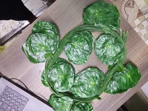 Artificial Green Leaves