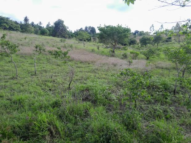 7 Acres Commercial Land - thumbnail 6