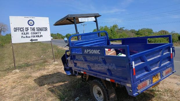 New Apsonic AP200ZH-VIP 2024 Blue - main view