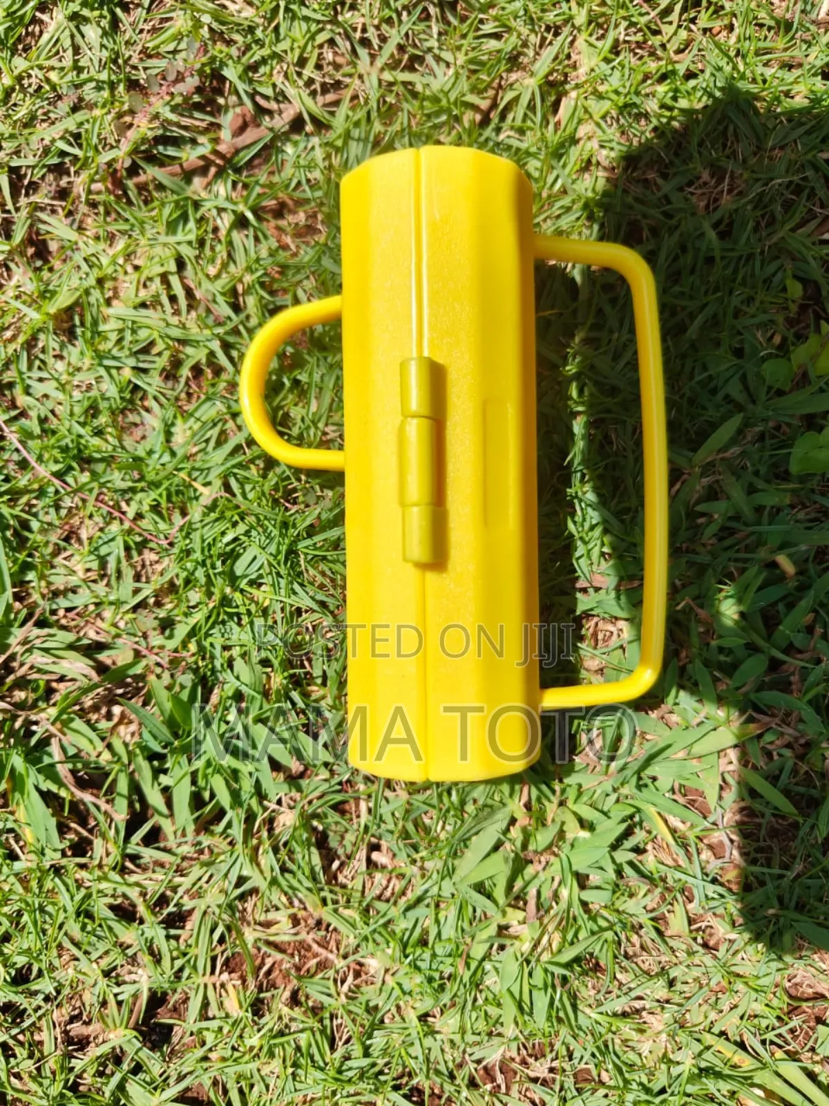 Thorn Remover