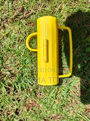Thorn Remover