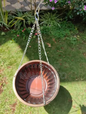 Hanging Basket