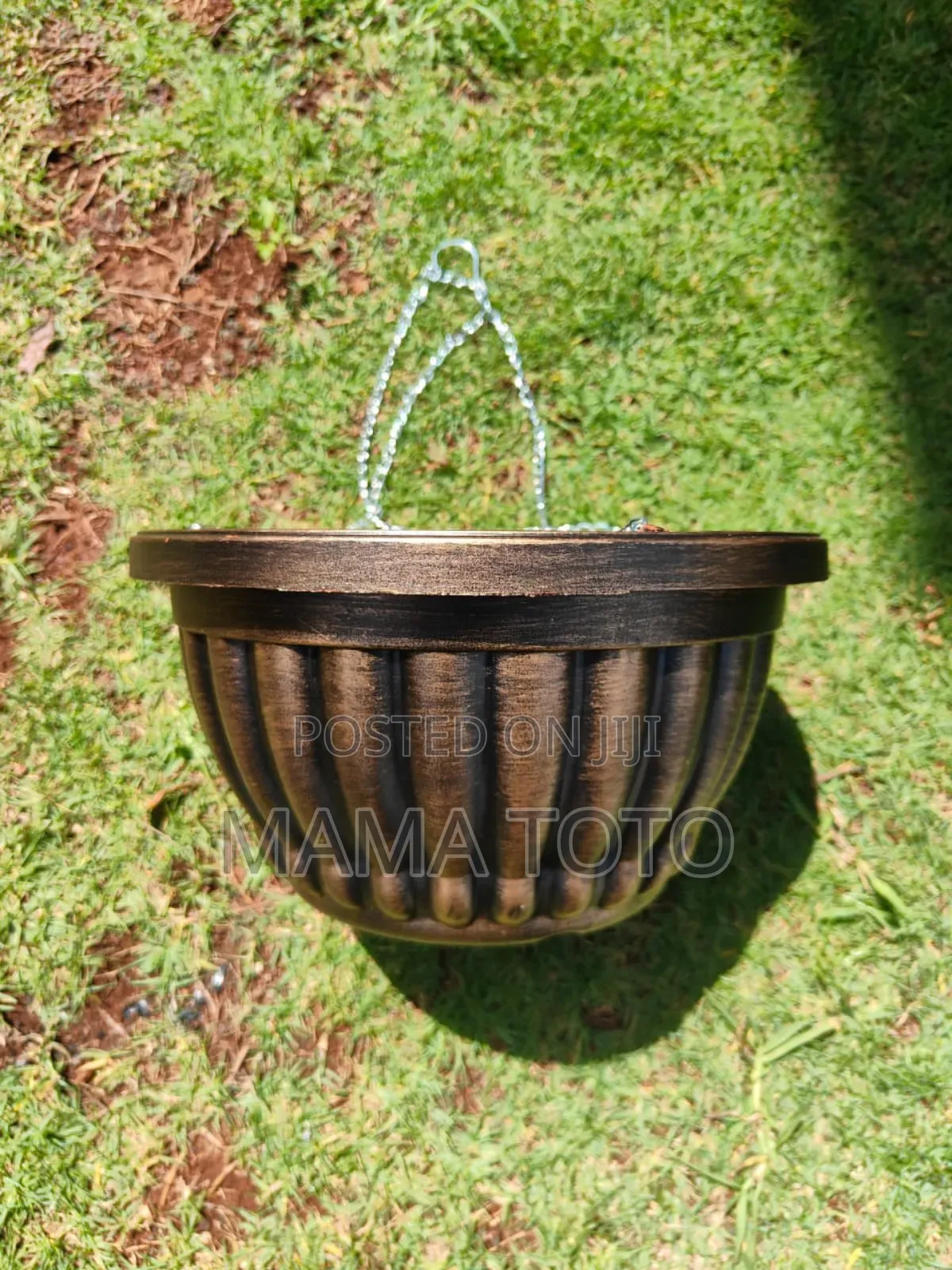 Hanging Basket