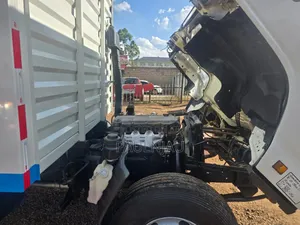 Isuzu NPR 2019