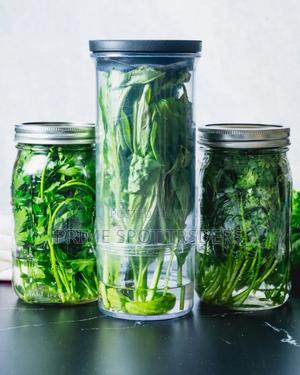 Fresh Herbs Fridge Storage Containers - main view