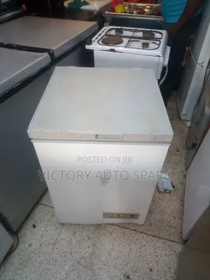 Chest Freezer (Exuk)