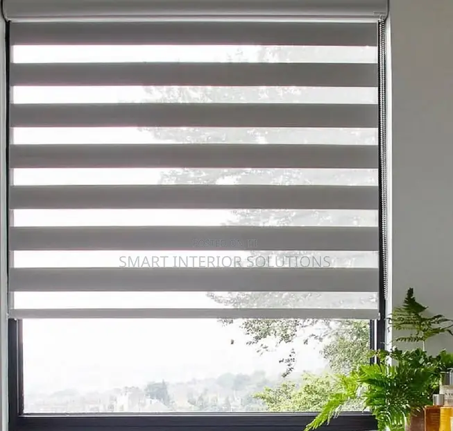 Elegant Sheer Roller Window Blind