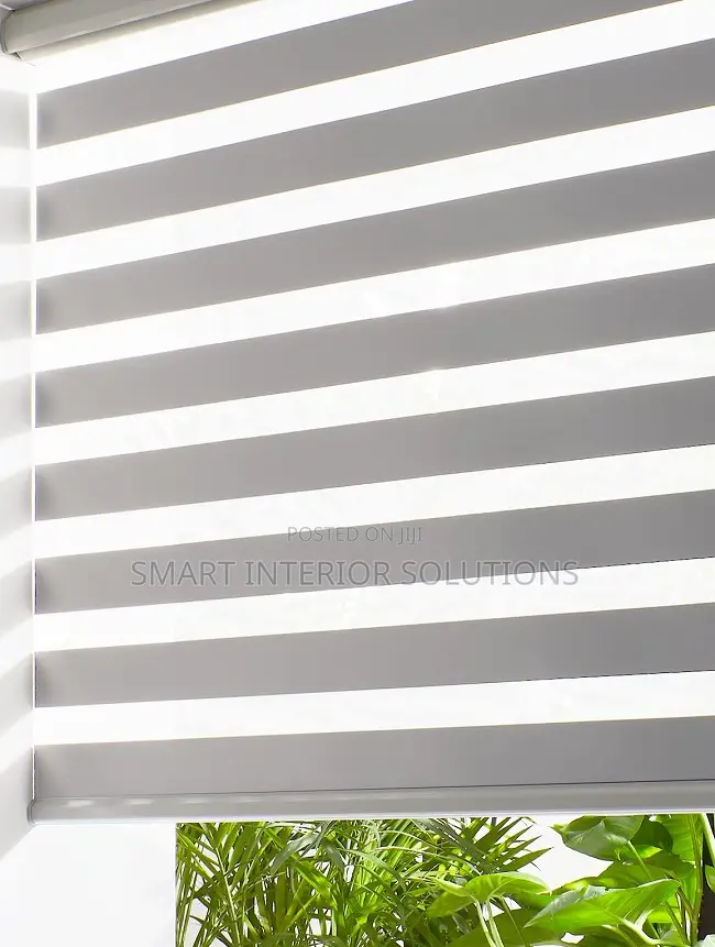 Modern Sheer Roller Window Blind