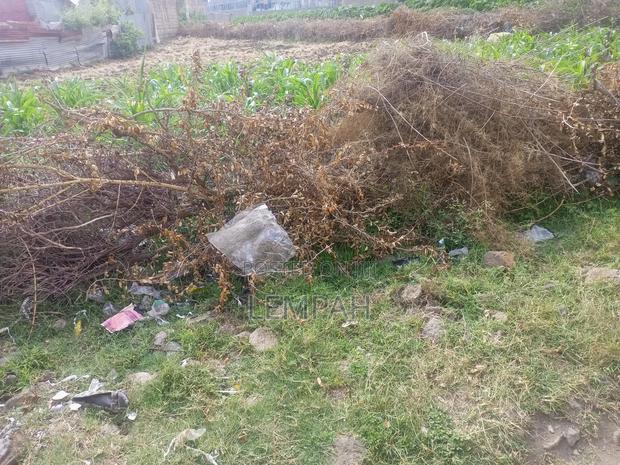 Plot on Sale 40*80 - thumbnail 5