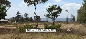Prime 1/4 Acre View Plot for Sale on Baboon Crescent, Kibiko