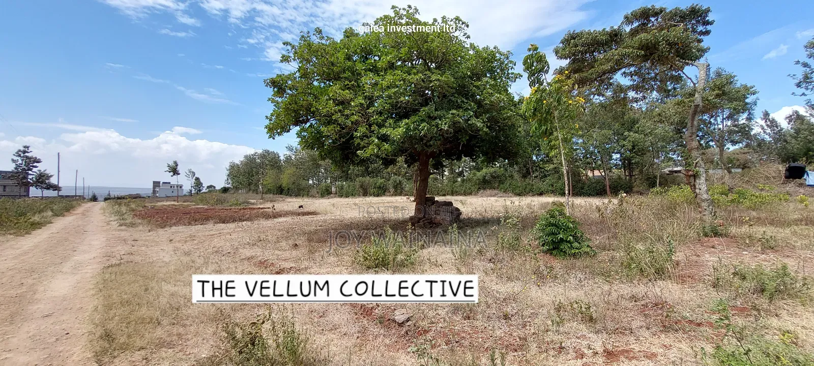 Prime 1/4 Acre View Plot for Sale on Baboon Crescent, Kibiko