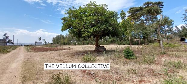 1/4 Acre Land for Sale - main view