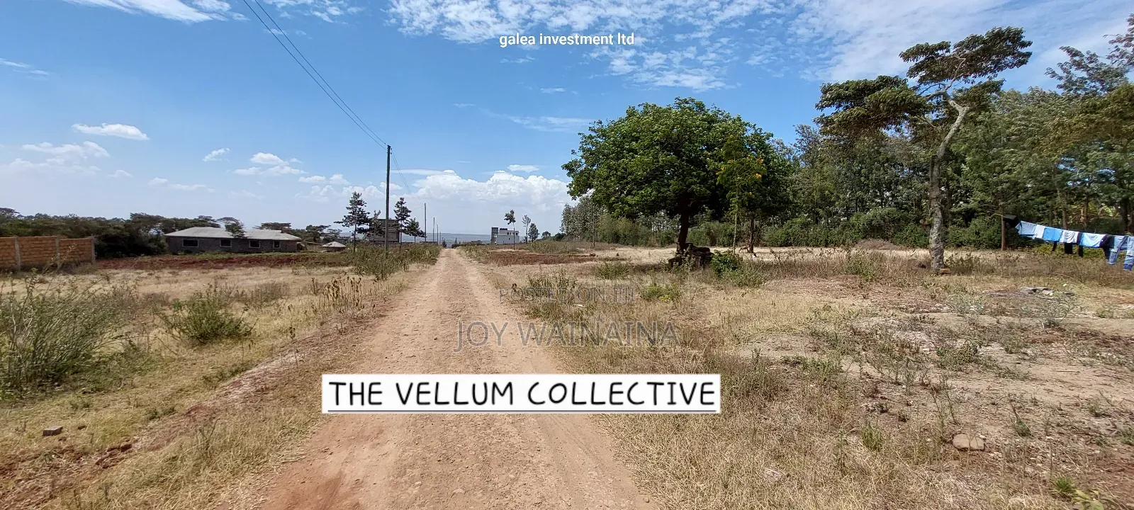 Prime 1/4 Acre View Plot for Sale on Baboon Crescent, Kibiko
