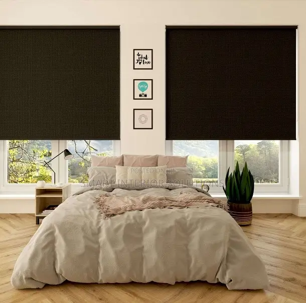 Sunscreen Privacy Window Blinds