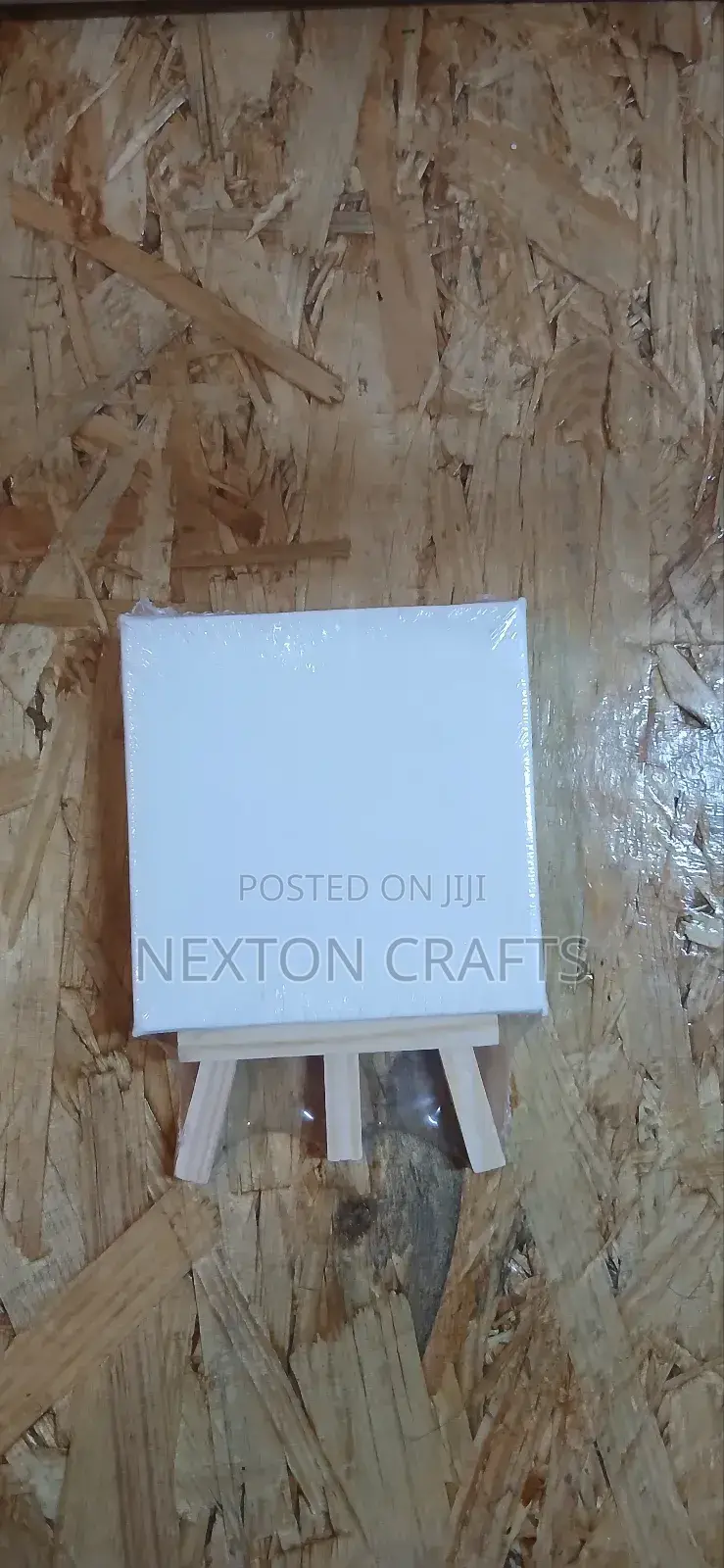 Artst Canvas 10 by 10 With Stand