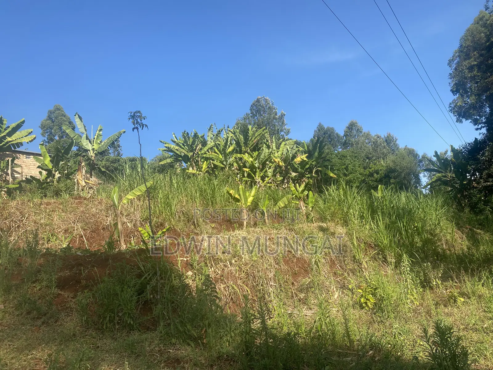 Kihara Land for Sale