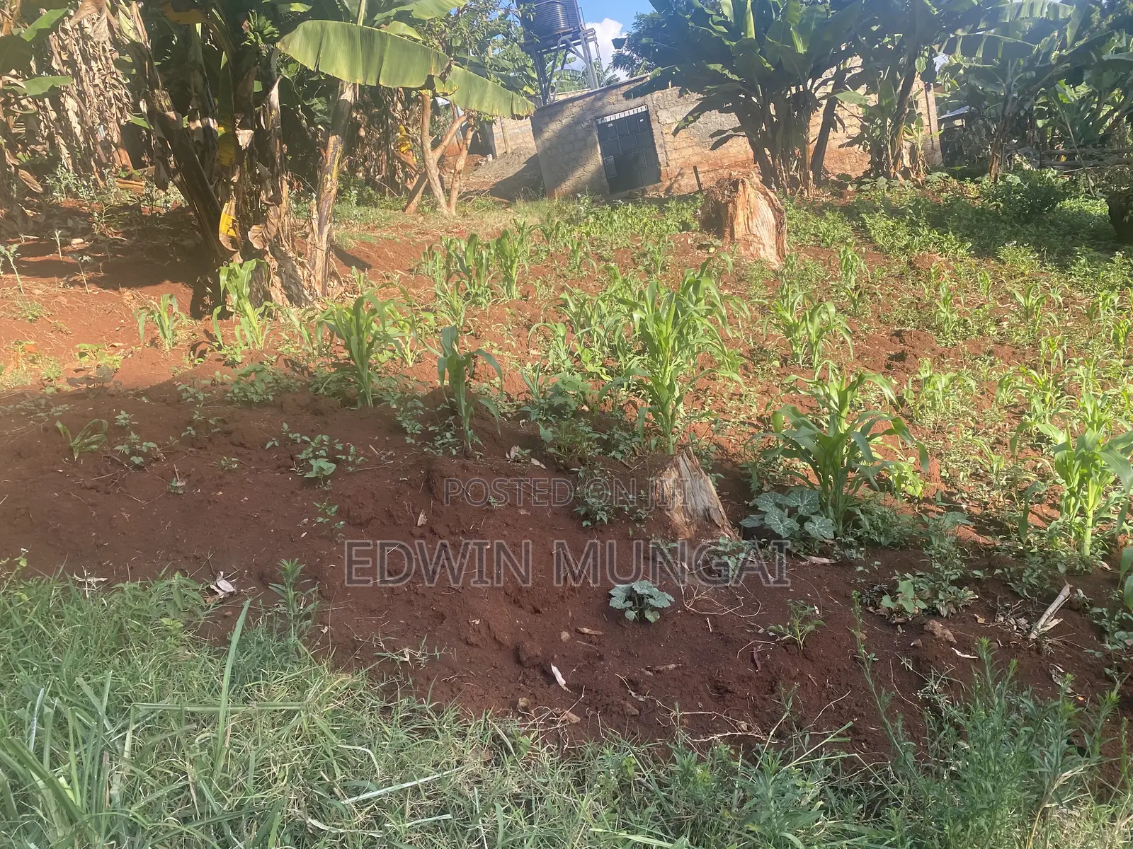 Kihara Land for Sale