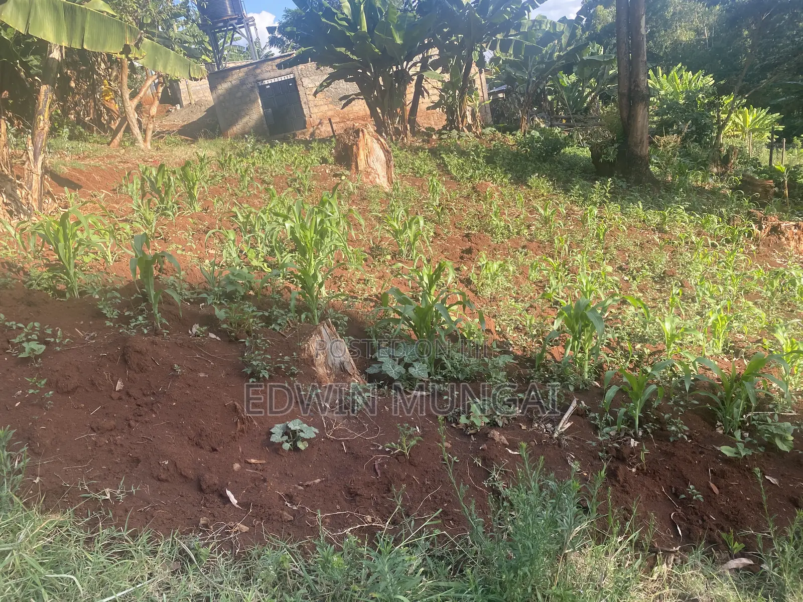 Kihara Land for Sale