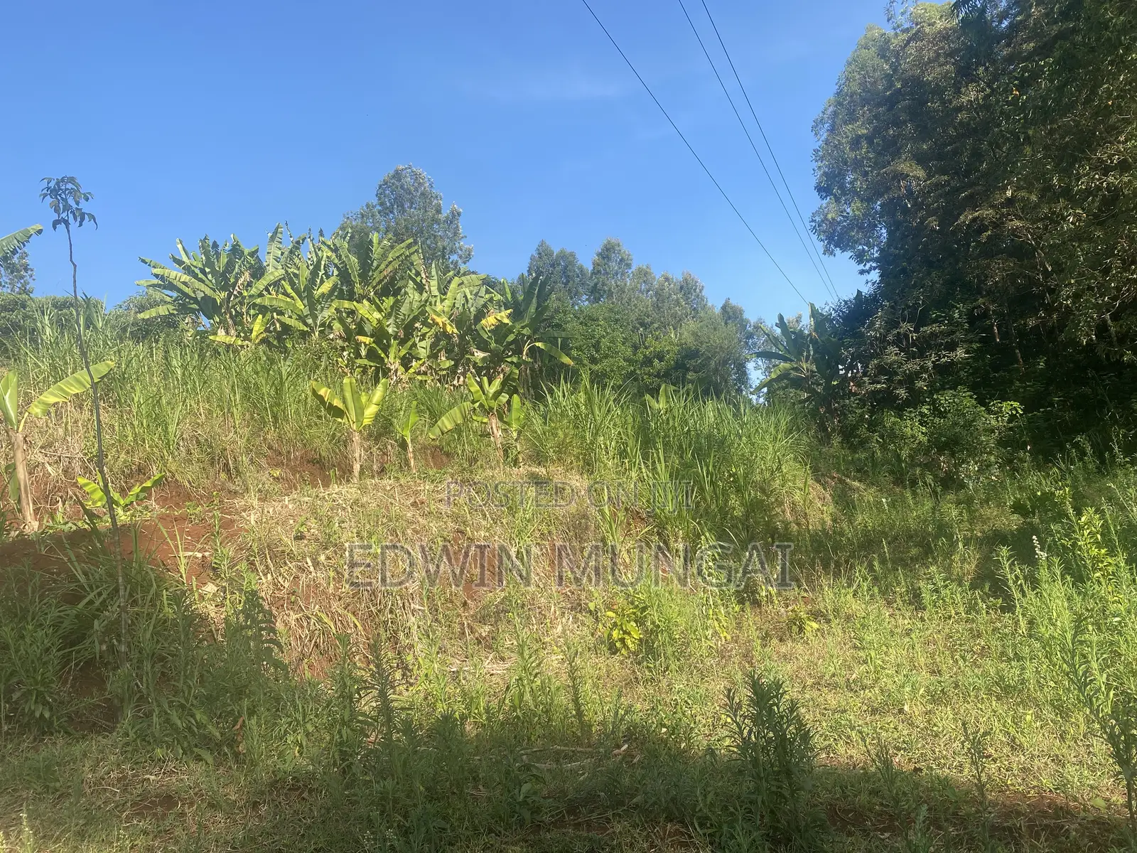 Kihara Land for Sale