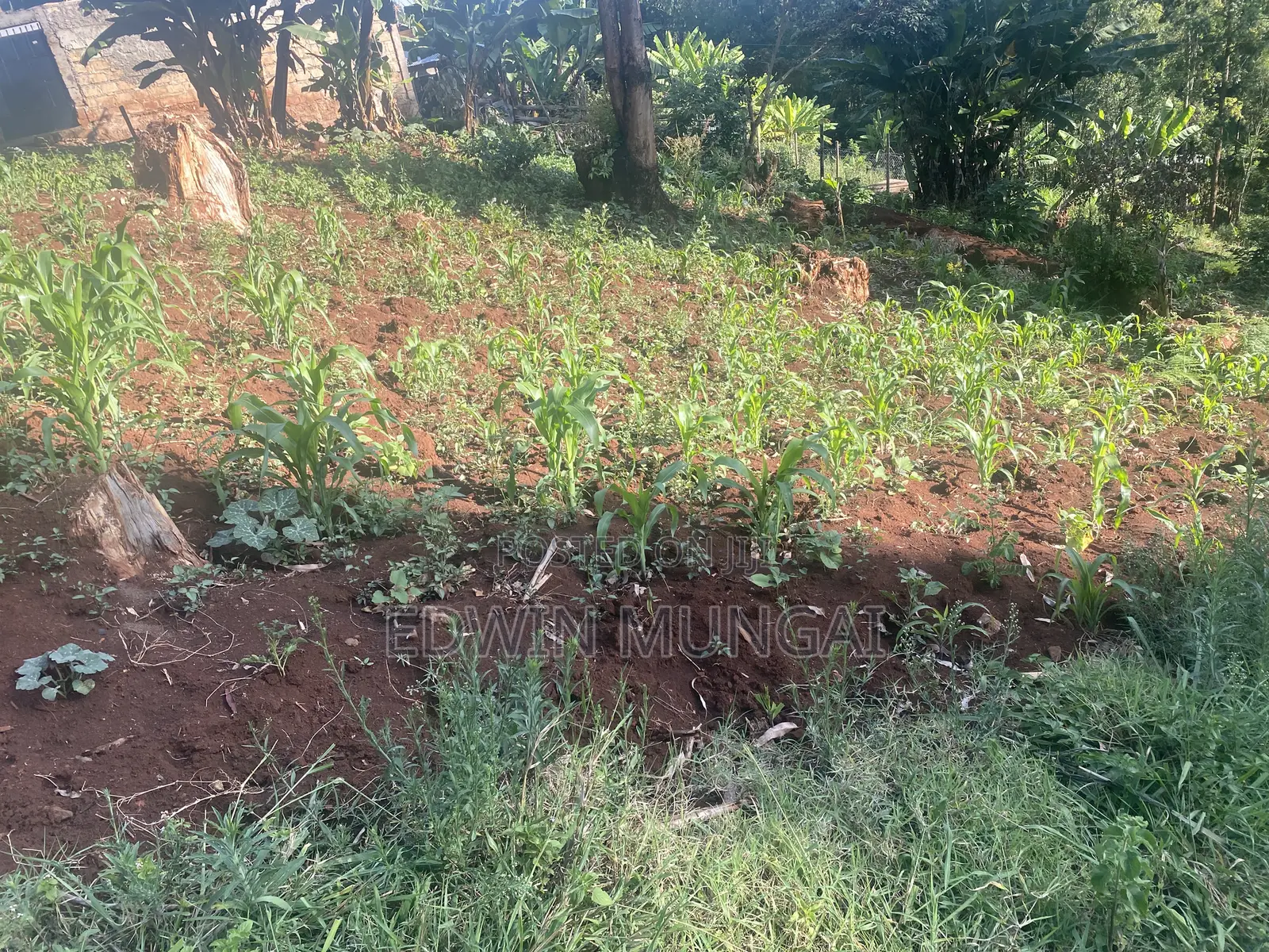 Kihara Land for Sale