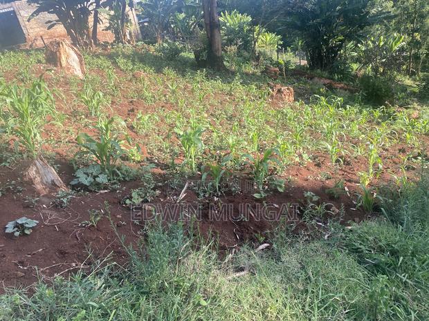 Kihara Land for Sale - thumbnail 11