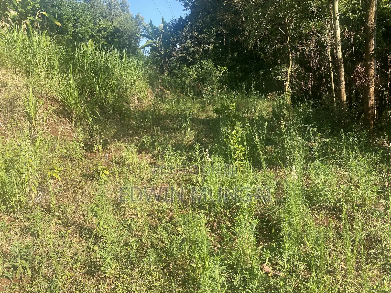 Kihara Land for Sale