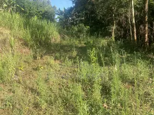 Kihara Land for Sale
