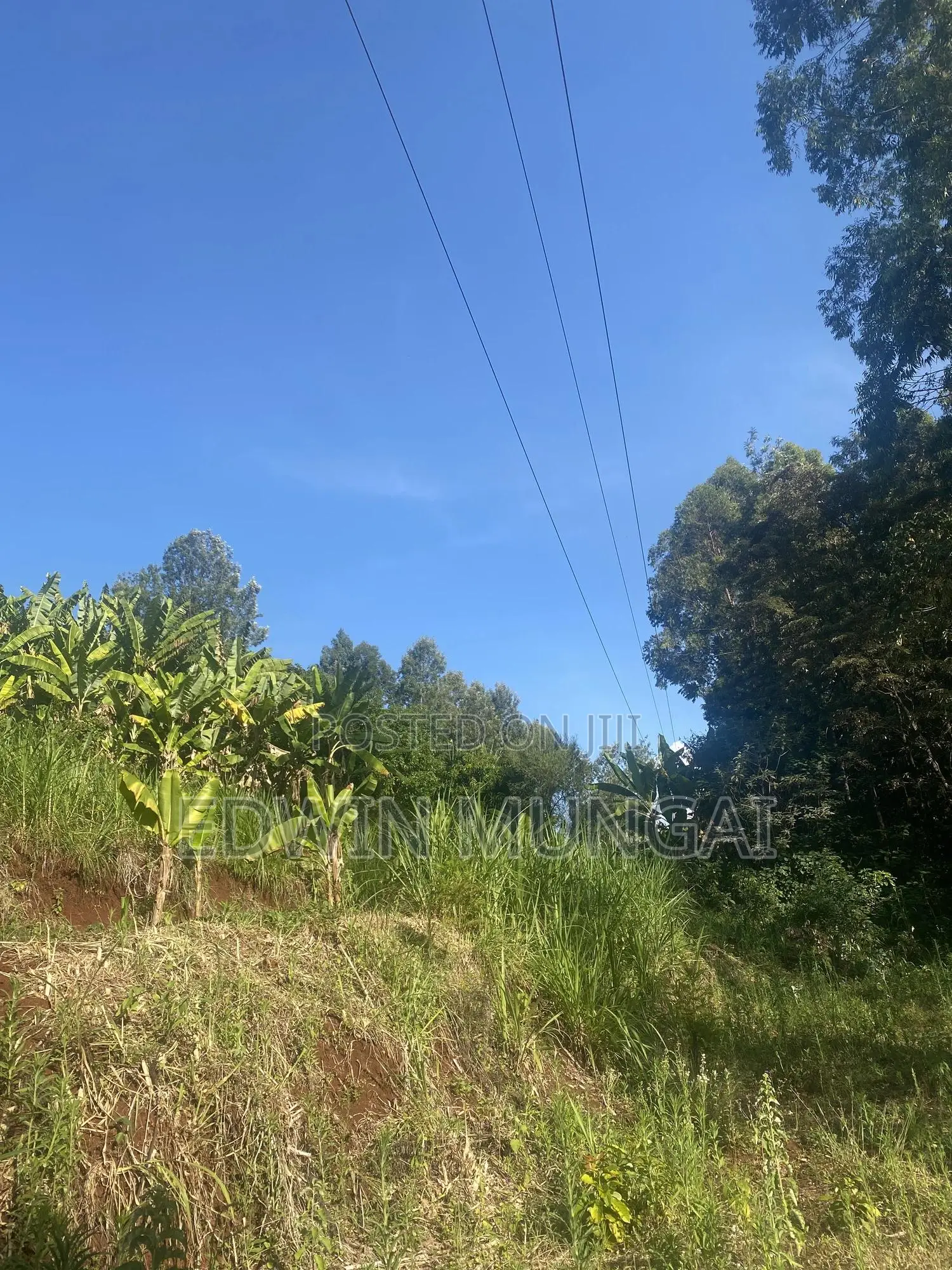 Kihara Land for Sale