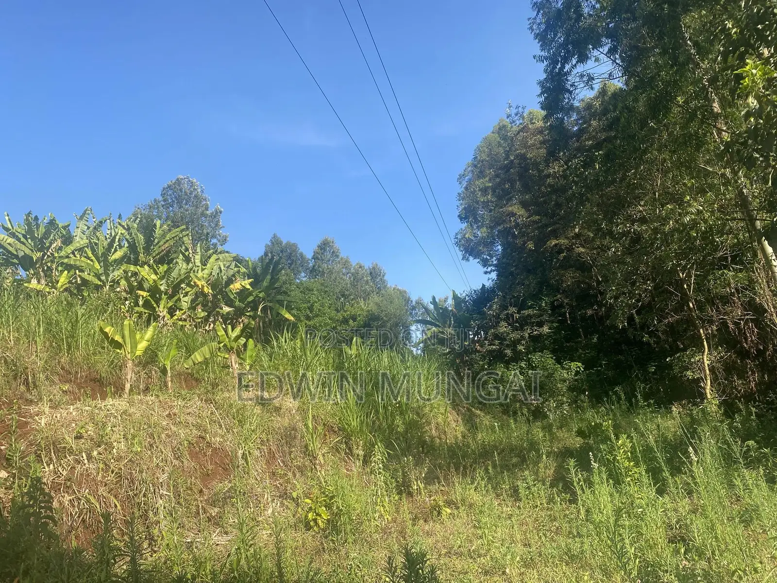 Kihara Land for Sale