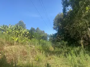 Kihara Land for Sale