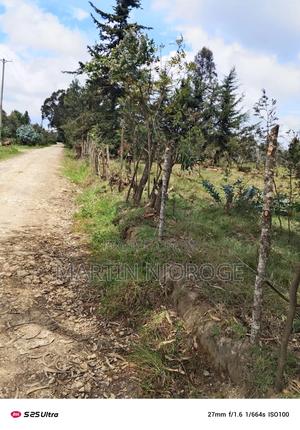 20 Acres Kariamu - thumbnail 2