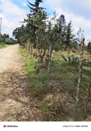 20 Acres Kariamu