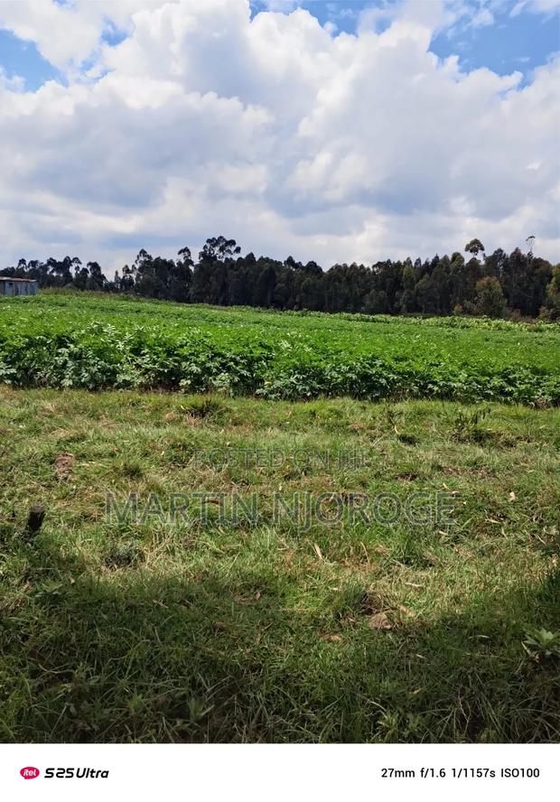 20 Acres Kariamu - thumbnail 3