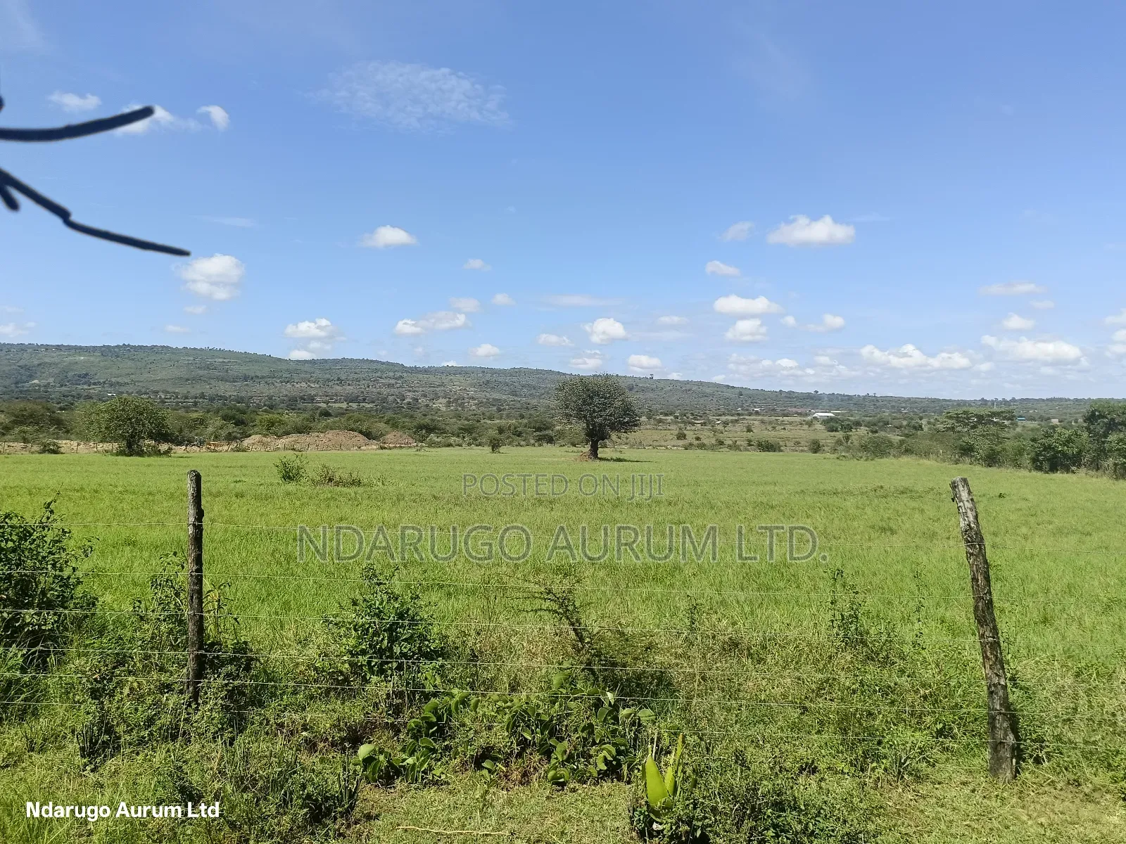 Quarr Land 5 Acres