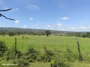Quarr Land 5 Acres