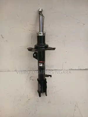 Ford Escape Front Shock Absorbers