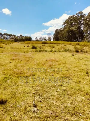 Plots for Sale in Kitale