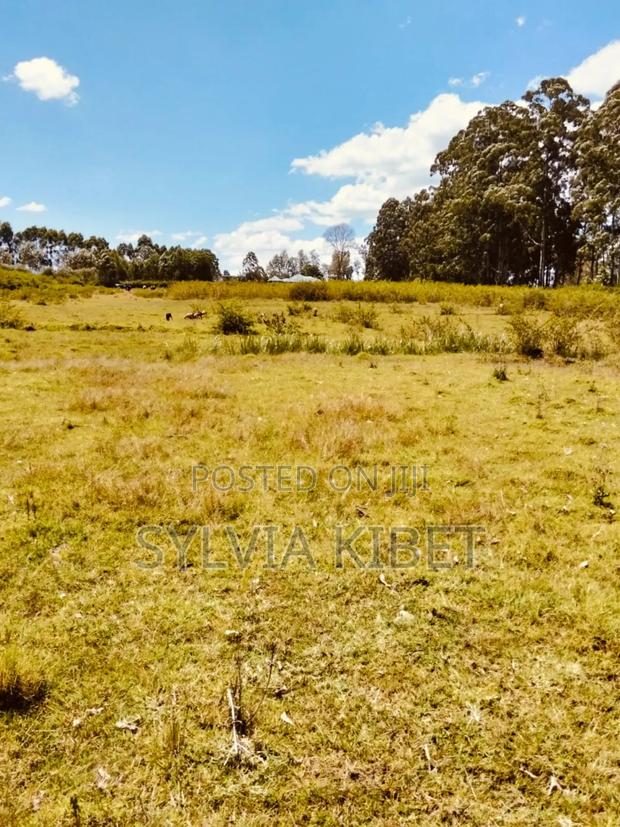 Plots for Sale in Kitale - thumbnail 4