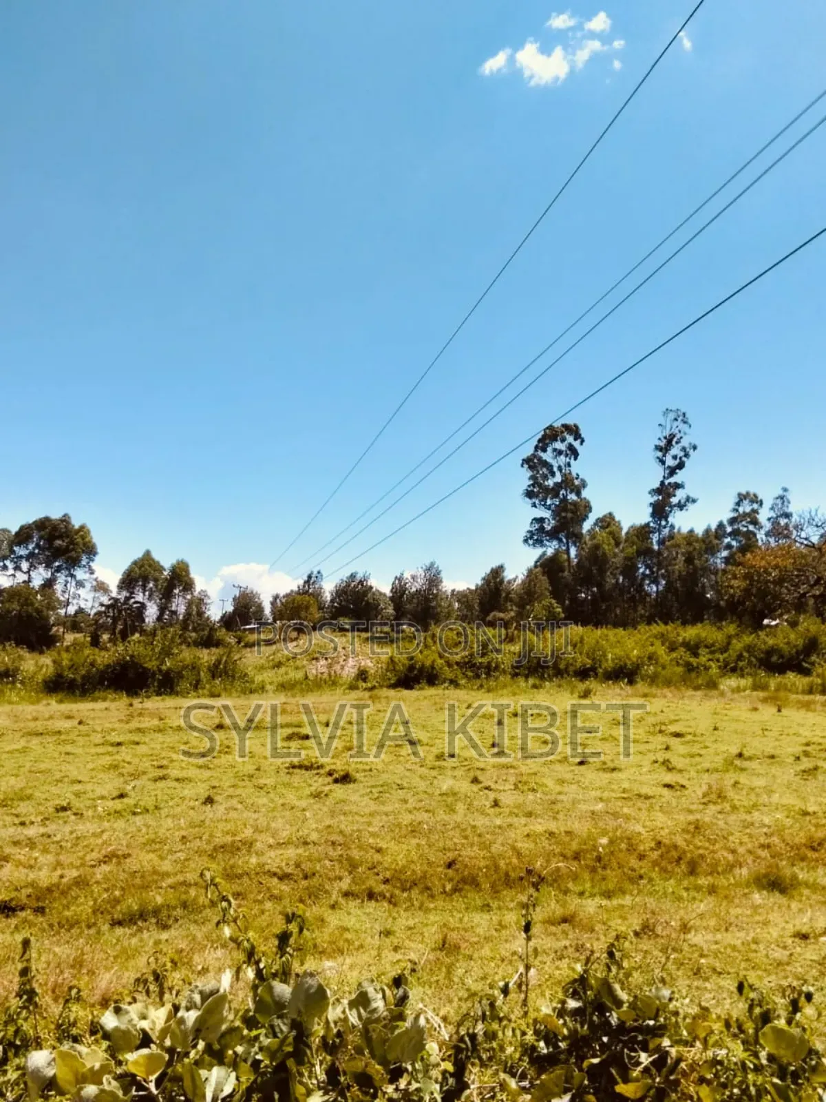 Plots for Sale in Kitale