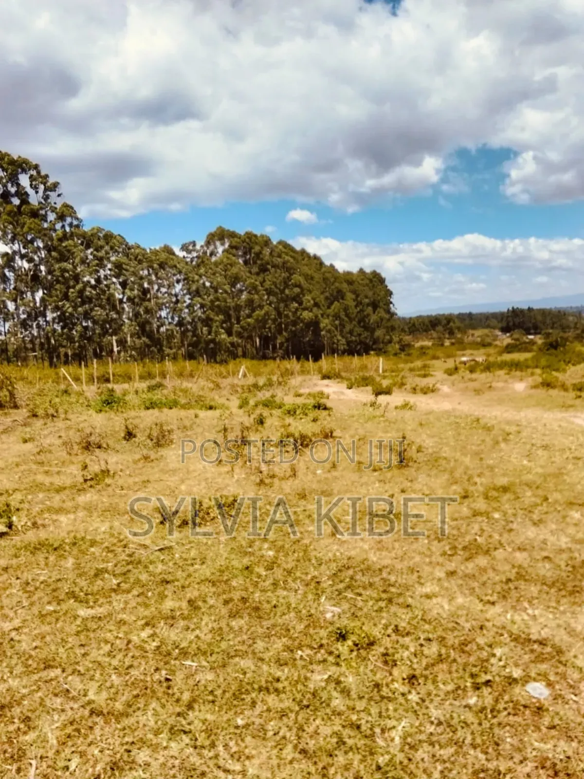 Plots for Sale in Kitale